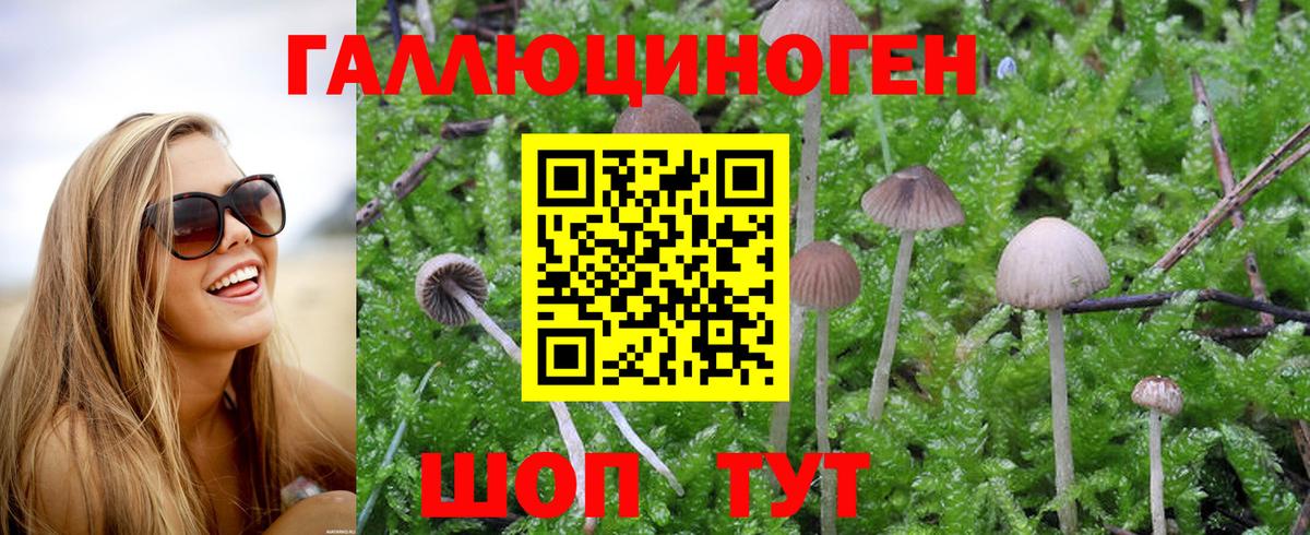 Сухой Лог  Псилоцибиновые грибы Magic Shrooms  Вход с VPN 